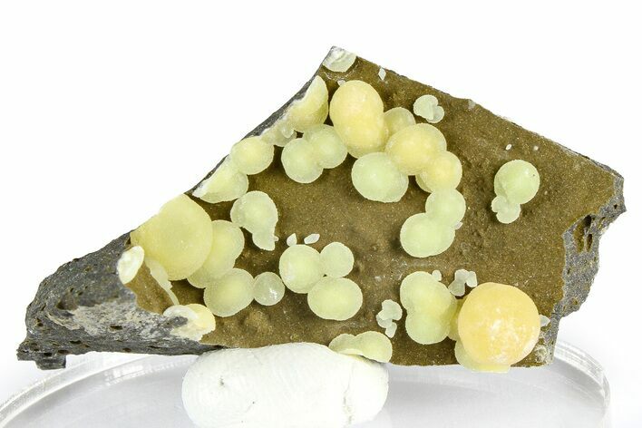 Globular Yellow Calcite Formations on Basalt - Italy #368869